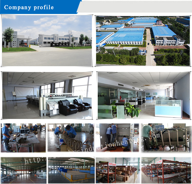 company profile